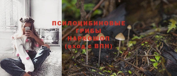 наркотики Богородицк