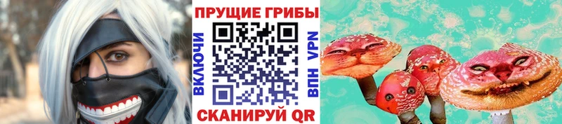 дарнет шоп  Новопавловск  Псилоцибиновые грибы прущие грибы 