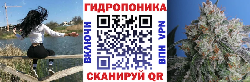 купить наркоту  Новопавловск  Каннабис тримм 